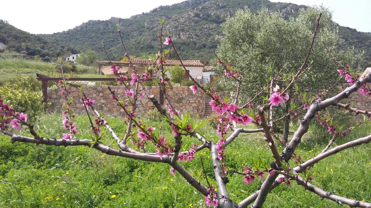 La Casetta Rosa Тертенія Екстер'єр фото